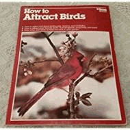 How To Attract Birds