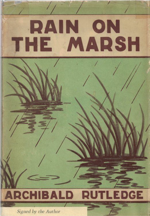 Rain on the Marsh