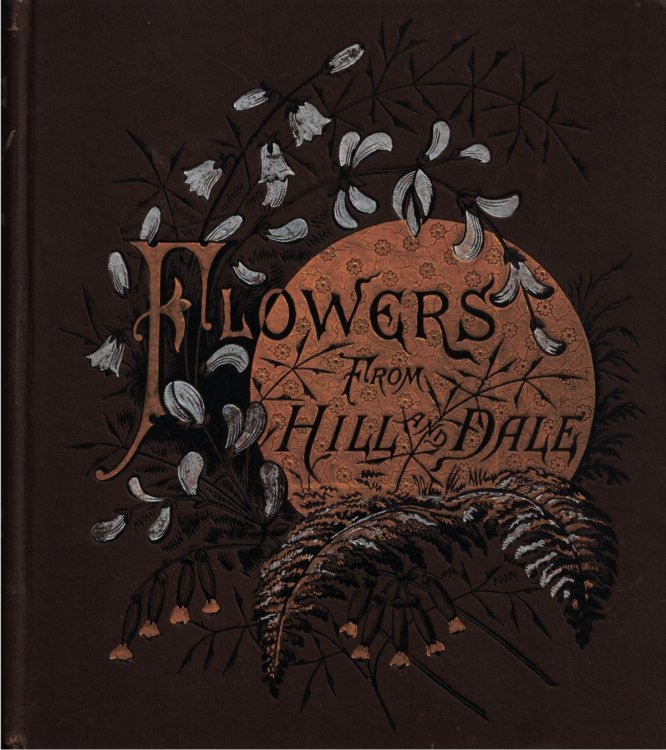 Flowers from Hill and Dale