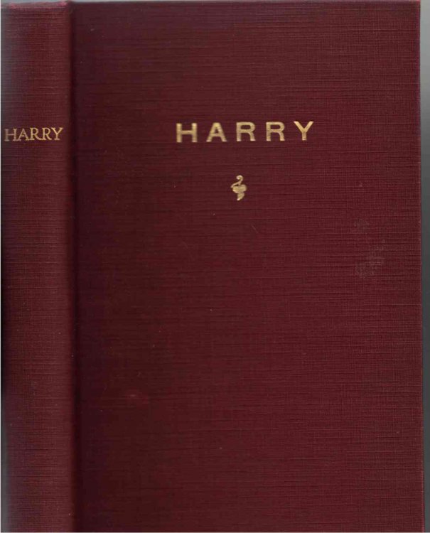 Harry: Being the recollections of an English boy, who served four years in the Union Army during the Civil War