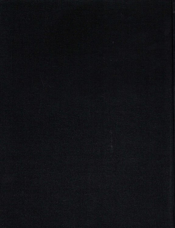 Seaford, Delaware: 1838-1998: Dupont's Cinderella Story [Bound Masters Thesis]