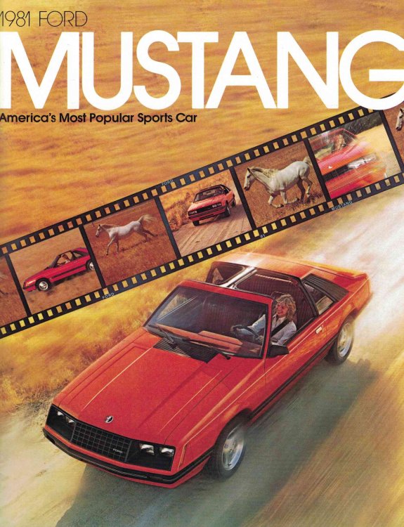1981 Ford Mustang [sales brochure]