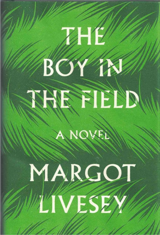 The Boy in the Field A Novel