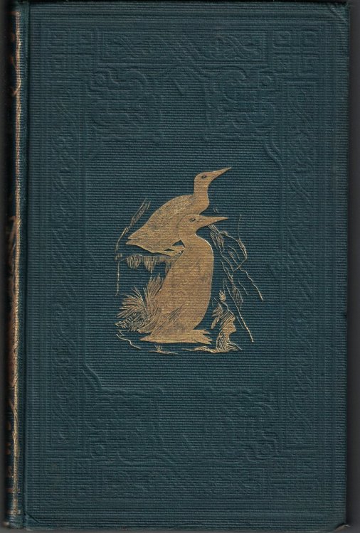 A History of British Birds, Volume VI [6]