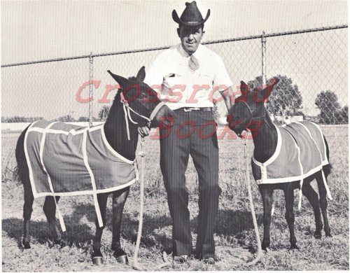 Vintage Photograph: Man with Two Mules [circa 1960's]