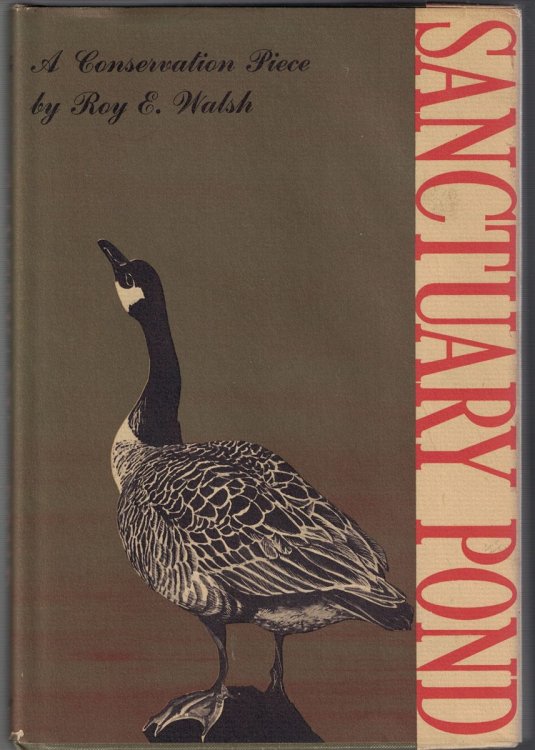 Sanctuary Pond: A Conservation Piece
