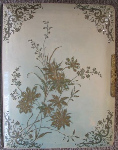 Vintage [Celluloid] Photograph Album, with photographs [South-Central, Wisconsin area, circa 1900]