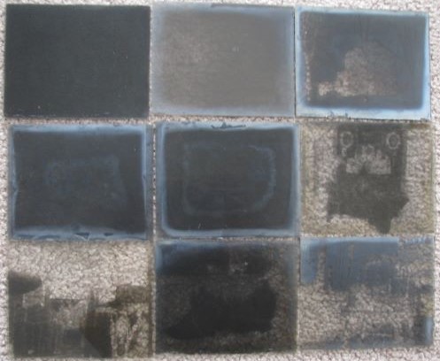 [Lot of 9] Glass Plate Negatives [home, house, grocery store, carriage, cat - Whitewater, Wisconsin circa 1900]