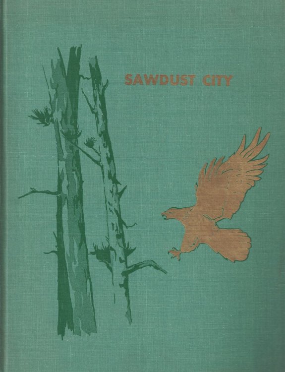 Sawdust City: A History of Eau Claire, Wisconsin from Earliest Times to 1910