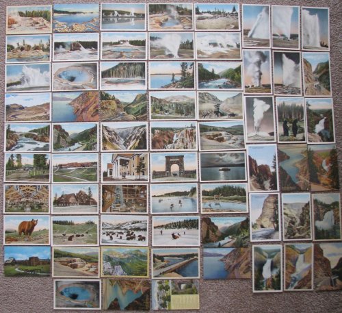[Lot of 66] Yellowstone National Park Postcards [vintage]