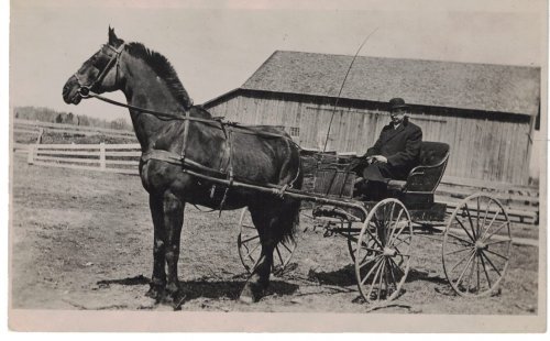 Postcard / RPPC: Horse & Buggy [circa 1910's, and likely from south-central Wisconsin]