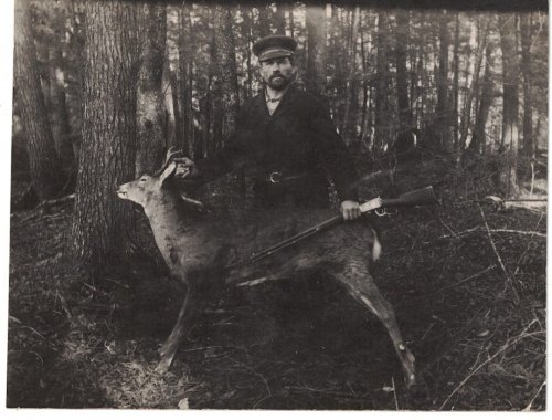 Postcard / RPPC: Deer hunter with rifle
