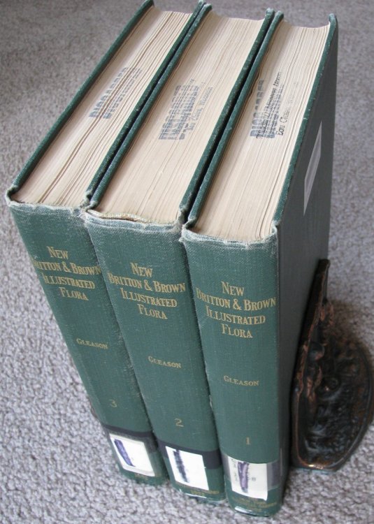 The New Britton and Brown Illustrated Flora of the Northeastern United States and Adjacent Canada (3 volume set)