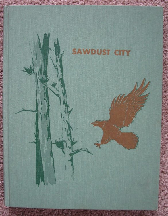 Sawdust City: A History of Eau Claire, Wisconsin from Earliest Times to 1910