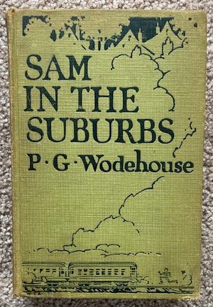 Sam in the Suburbs