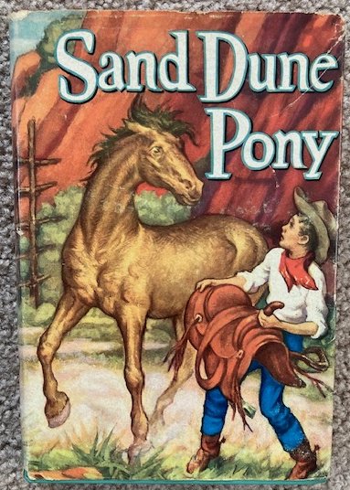 Sand Dune Pony