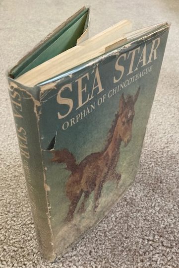 Sea Star: Orphan Of Chincoteague