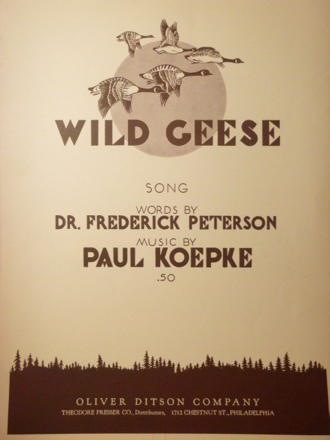 Wild Geese
