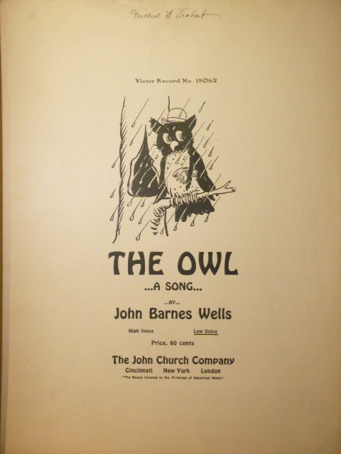 The Owl