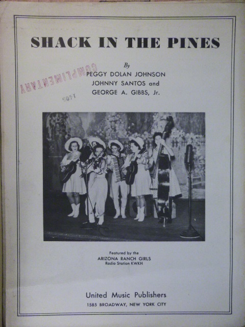 Shack in the Pines