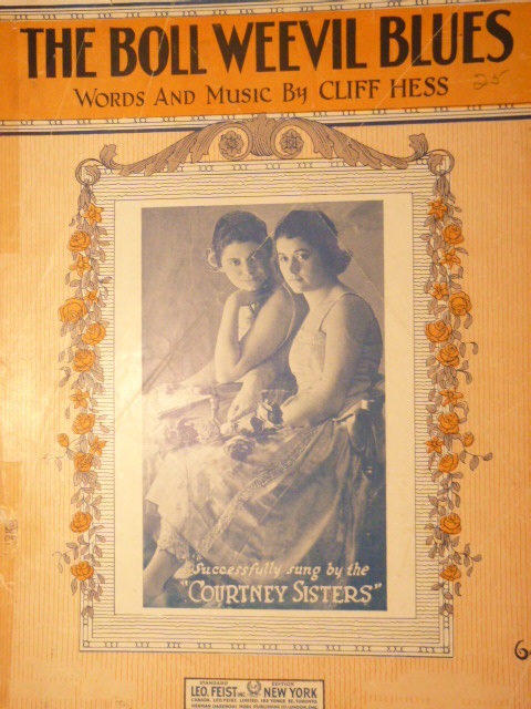 The Boll Weevil Blues