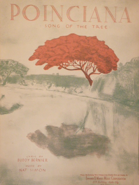 Poinciana