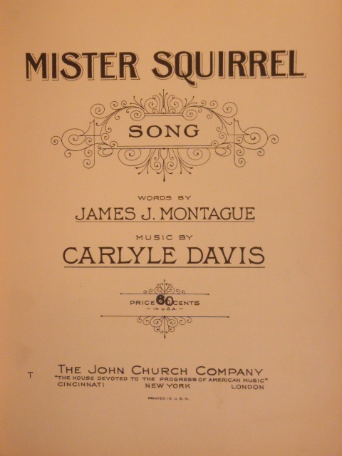 Mister Squirrel