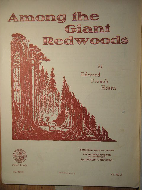 Among the Giant Redwoods