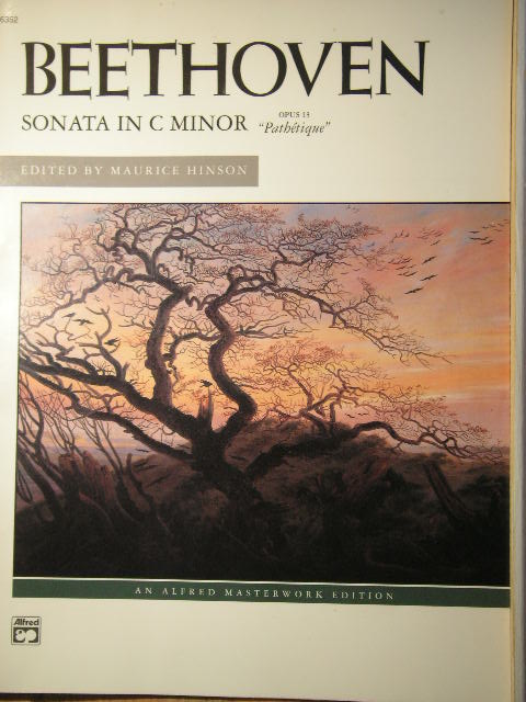 Sonata in C Minor Op. 13 