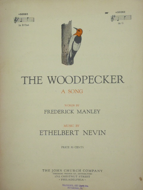 The Woodpecker