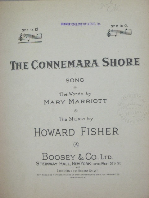 The Connemara Shore