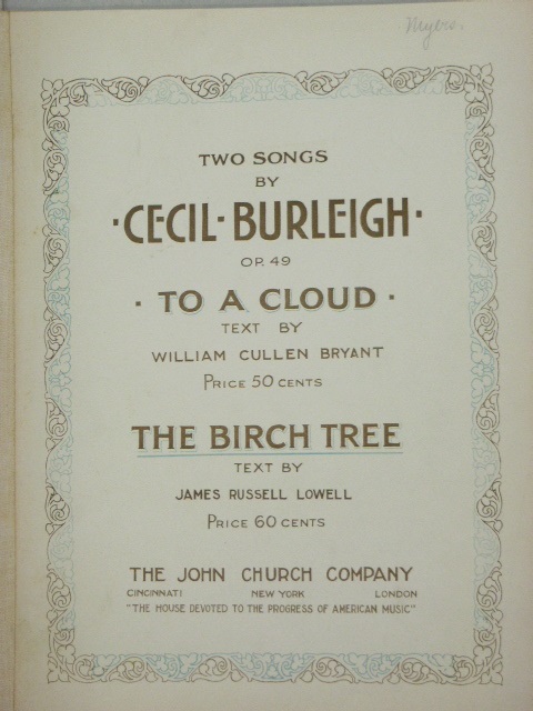 The Birch Tree