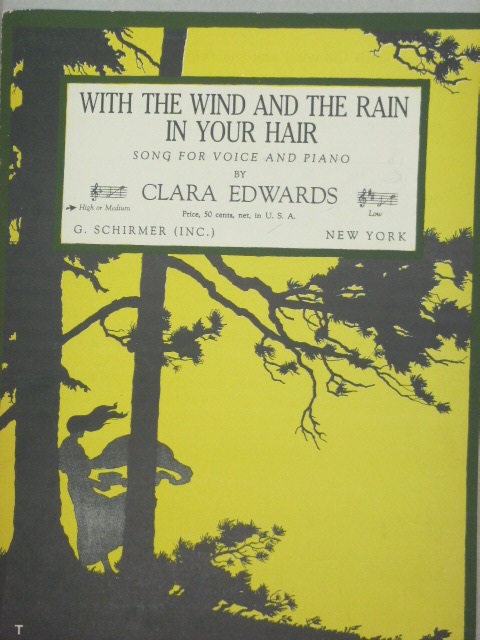 With the Wind and the Rain in Your Hair