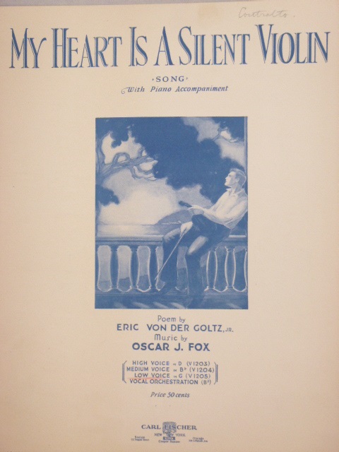 My Heart is a Silent Violin