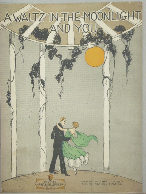 A Waltz in the Moonlight and You