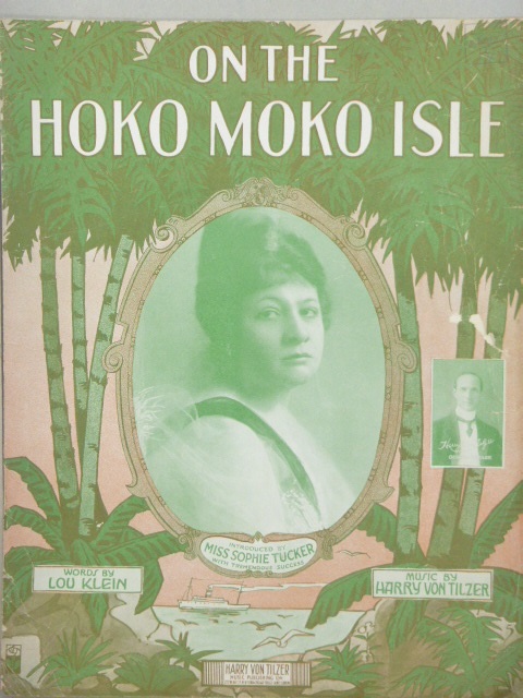 On the Hoko Moko Isle