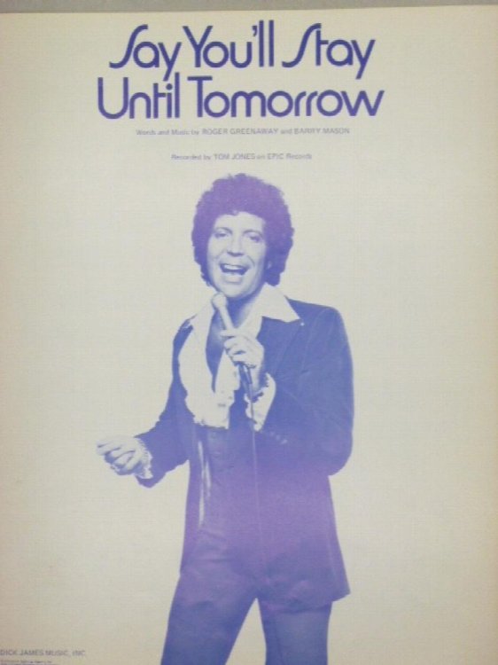 Say You'll Stay Until Tomorrow