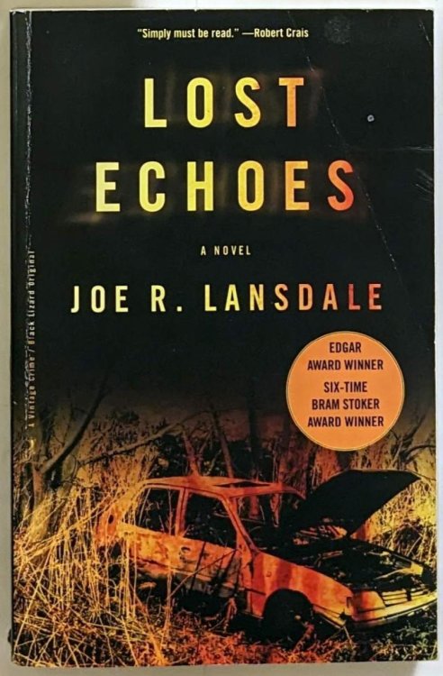 Lost Echoes