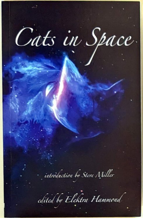 Cats in Space