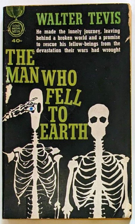 Man Who Fell to Earth, The