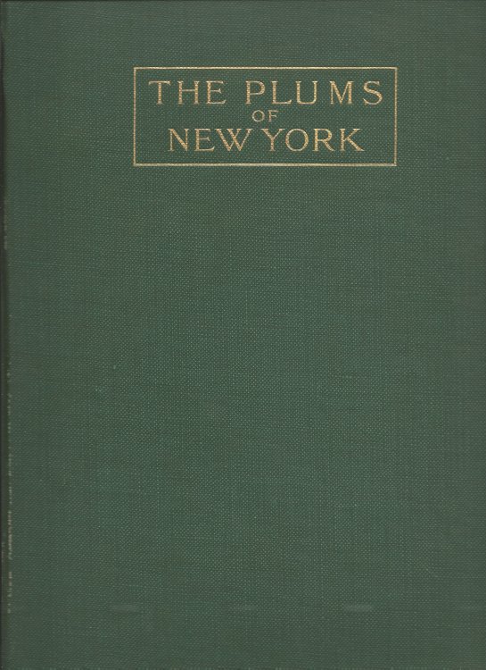 THE PLUMS OF NEW YORK : State of New York - Department of Agriculture - Eighteenth Annual Report - Vol. 3 - Part II