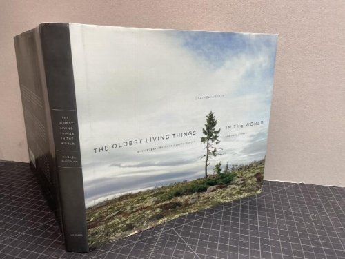 The Oldest Living Things in the World