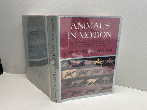Animals in Motion