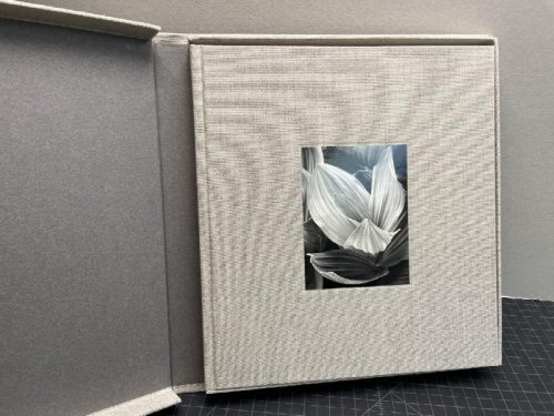 QUIET LIGHT (signed)