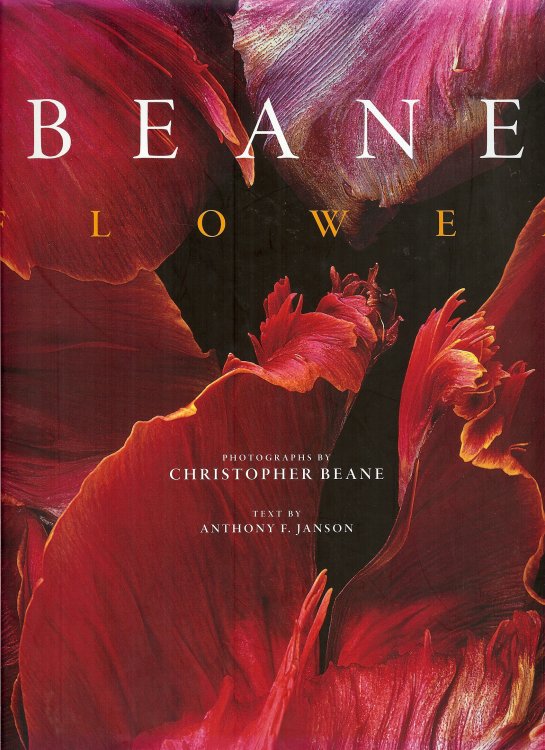 BEANE : Flower