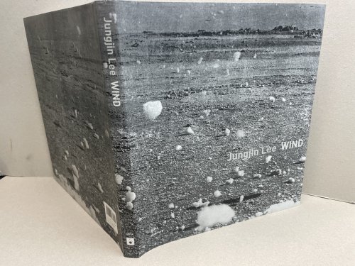 Jungjin Lee: Wind