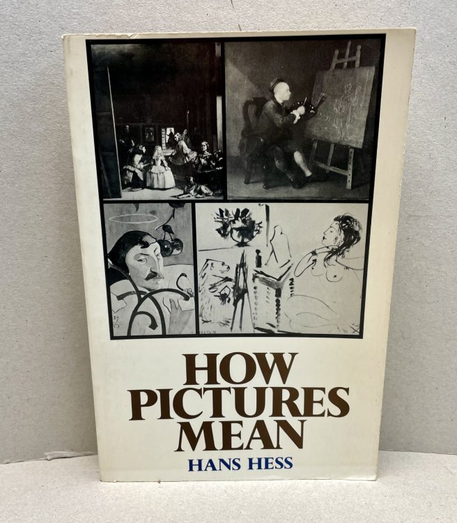 How Pictures Mean