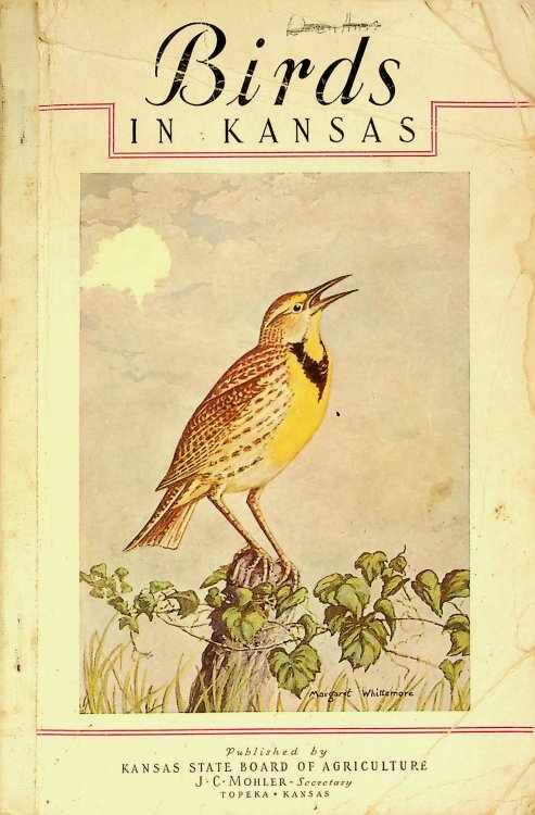 Birds in Kansas