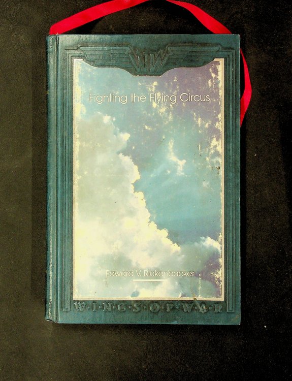 Fighting the Flying Circus