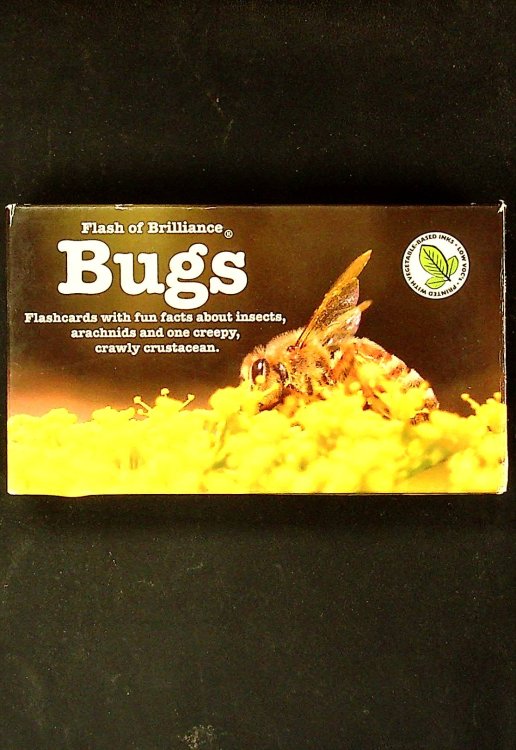 Flash of Brilliance Bug Flash Cards with Fun Facts